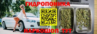 трава Бийск