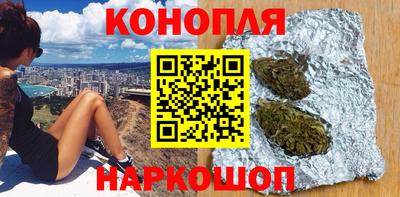 трава Бийск