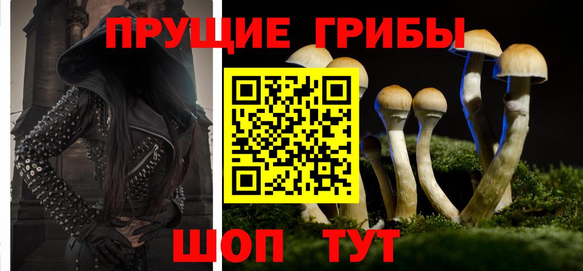 Галлюциногенные грибы Magic Shrooms Жуковский