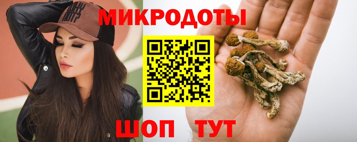 Жуковский  Псилоцибиновые грибы мицелий  Вход с VPN  Галлюциногенные грибы Psilocybine cubensis 